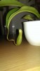 Nepenthes2.jpg